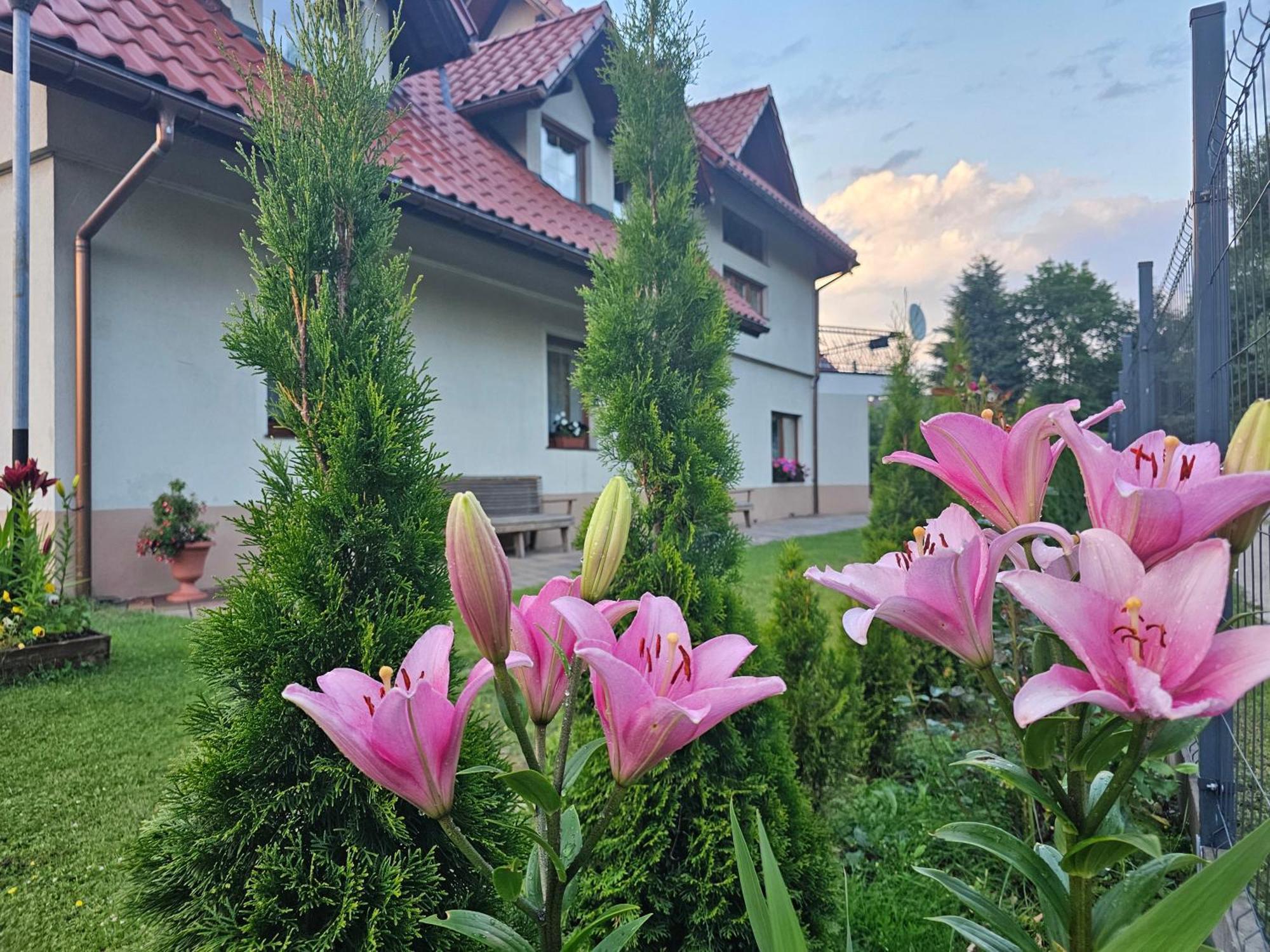 Dom Wypoczynkowy Beskidy Wegierska Gorka Ngoại thất bức ảnh